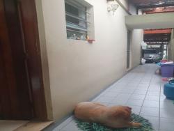 Sobrado para Venda em São Paulo - 2