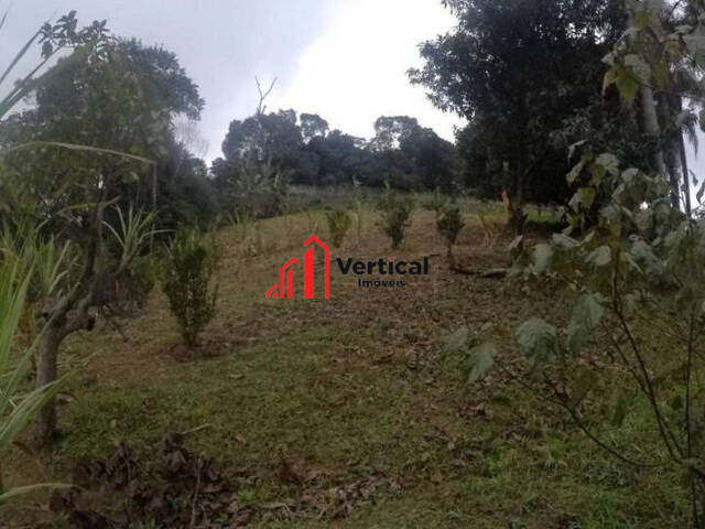 Área para Venda em São Paulo - 5