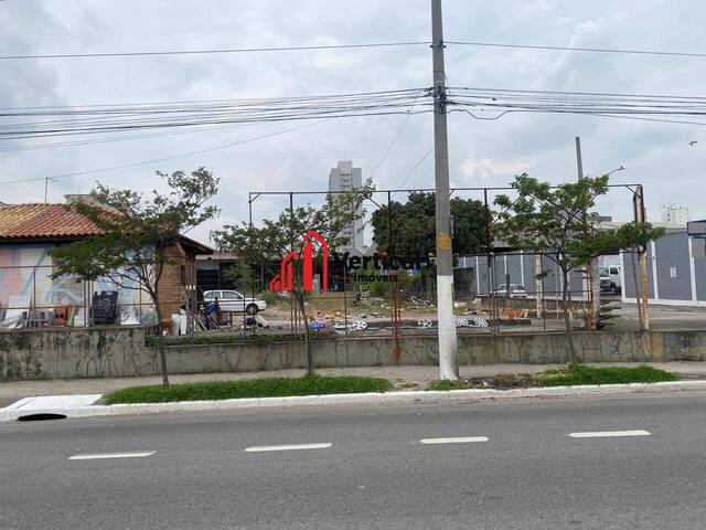 #12068 - Galpão para Venda em São Paulo - SP - 1