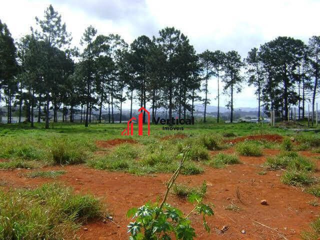Terreno para Venda em Itaquaquecetuba - 4