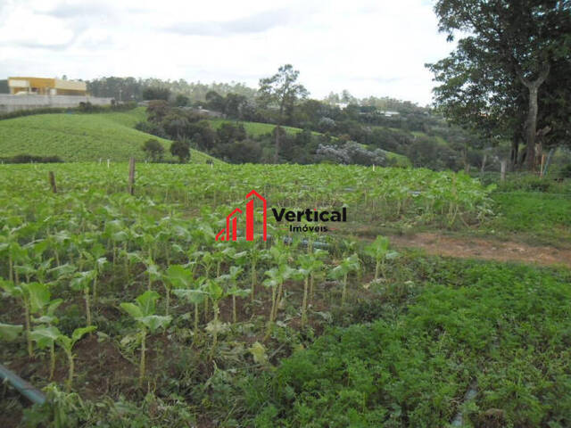 Área para Venda em Guarulhos - 4