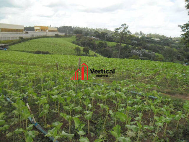 Área para Venda em Guarulhos - 5