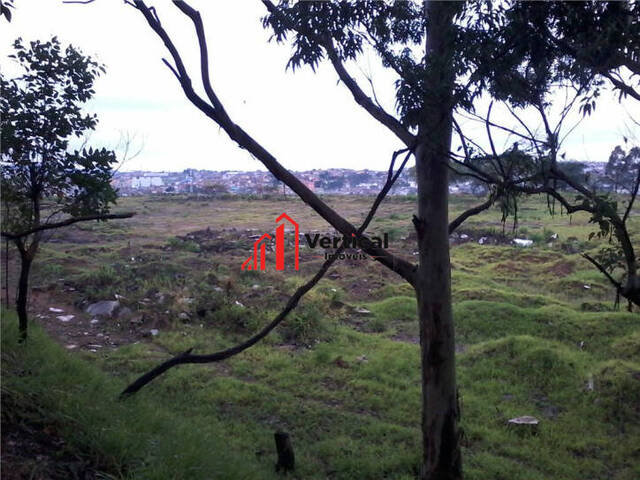 Área para Locação em Guarulhos - 5